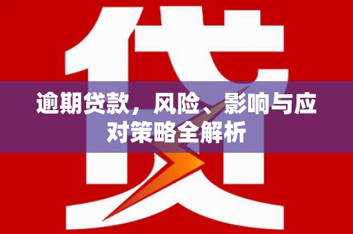 迎泽逾期贷款，风险、影响与应对策略全解析