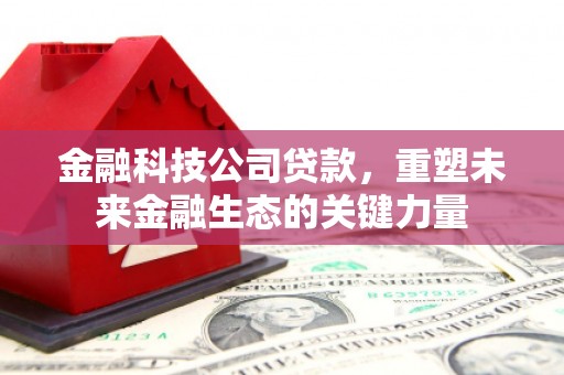 迎泽金融科技公司贷款，重塑未来金融生态的关键力量