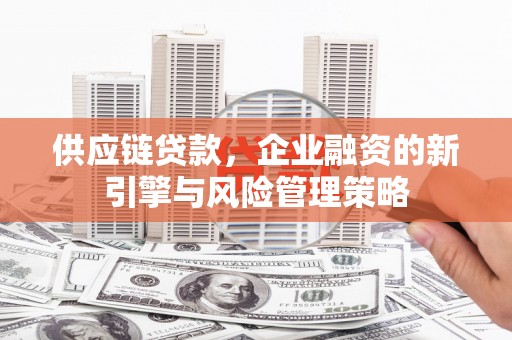 迎泽供应链贷款，企业融资的新引擎与风险管理策略