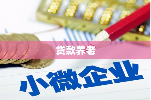 迎泽贷款养老