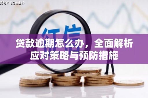 迎泽贷款逾期怎么办，全面解析应对策略与预防措施