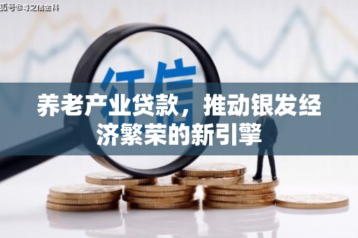迎泽养老产业贷款，推动银发经济繁荣的新引擎