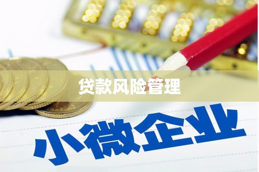 迎泽贷款风险管理