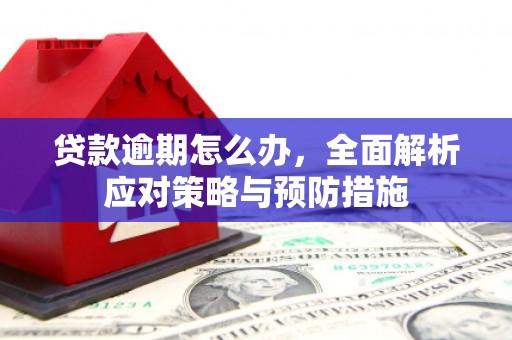 迎泽贷款逾期怎么办，全面解析应对策略与预防措施