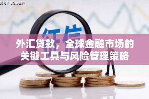 迎泽外汇贷款，全球金融市场的关键工具与风险管理策略