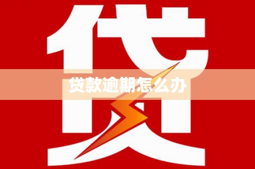 迎泽贷款逾期怎么办