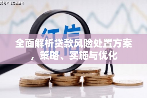 迎泽全面解析贷款风险处置方案，策略、实施与优化