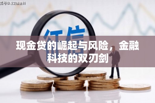 迎泽现金贷的崛起与风险，金融科技的双刃剑