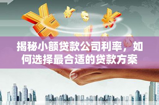 迎泽揭秘小额贷款公司利率，如何选择最合适的贷款方案
