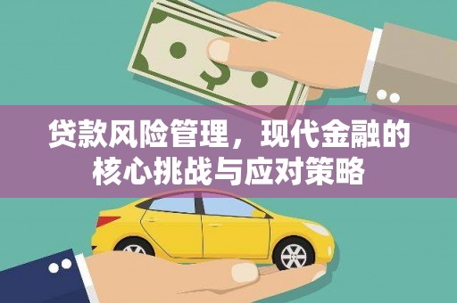迎泽贷款风险管理，现代金融的核心挑战与应对策略