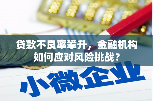 迎泽贷款不良率攀升，金融机构如何应对风险挑战？
