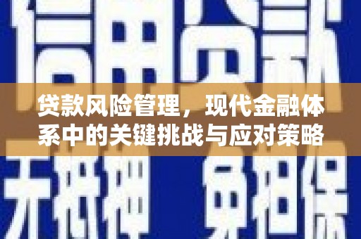 迎泽贷款风险管理，现代金融体系中的关键挑战与应对策略