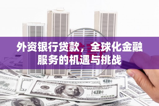 迎泽外资银行贷款，全球化金融服务的机遇与挑战