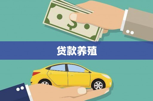 迎泽贷款养殖