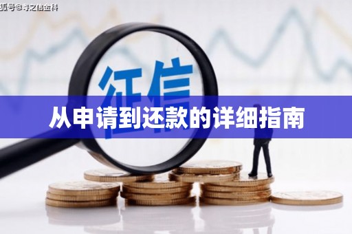 迎泽从申请到还款的详细指南