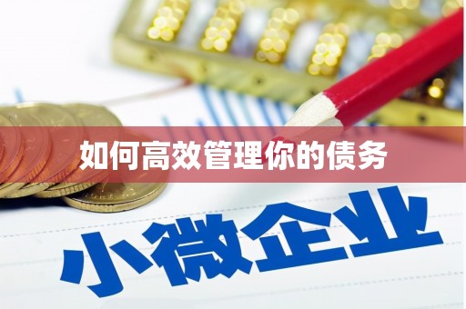 迎泽如何高效管理你的债务