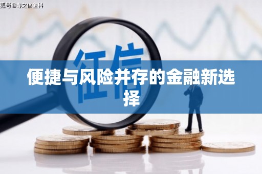 迎泽便捷与风险并存的金融新选择