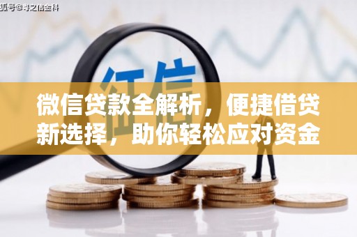 迎泽微信贷款全解析，便捷借贷新选择，助你轻松应对资金需求