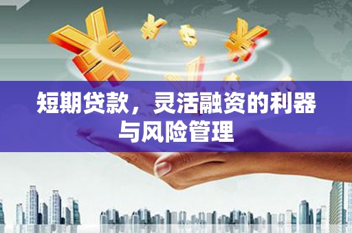 迎泽短期贷款，灵活融资的利器与风险管理