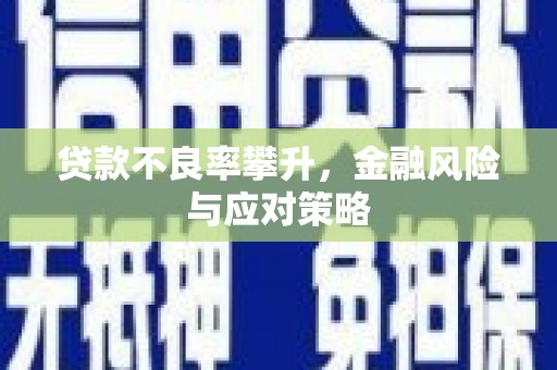 迎泽贷款不良率攀升，金融风险与应对策略