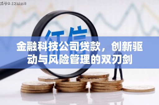 迎泽金融科技公司贷款，创新驱动与风险管理的双刃剑