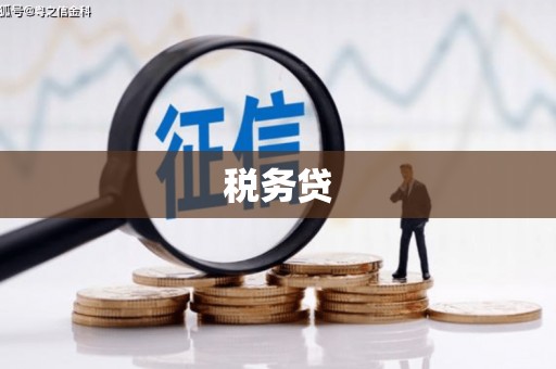 迎泽税务贷